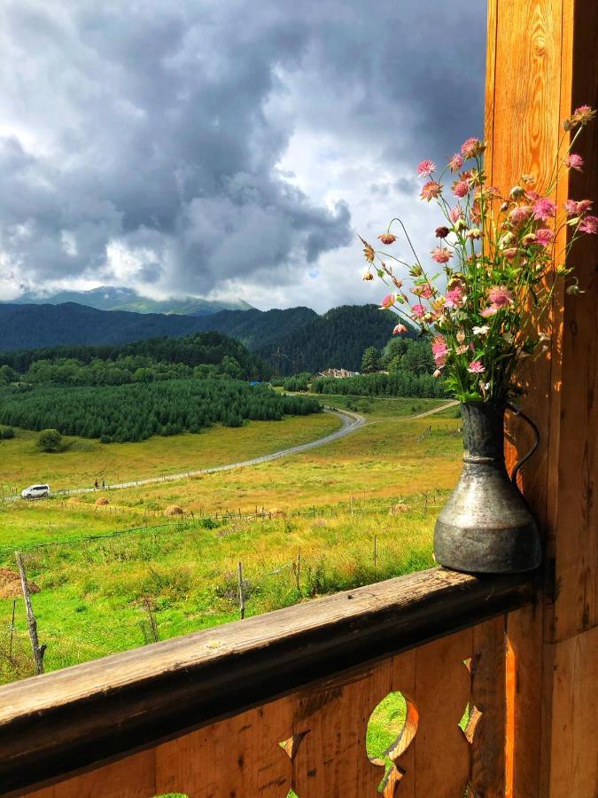 Guest House Gere Omalo Екстериор снимка