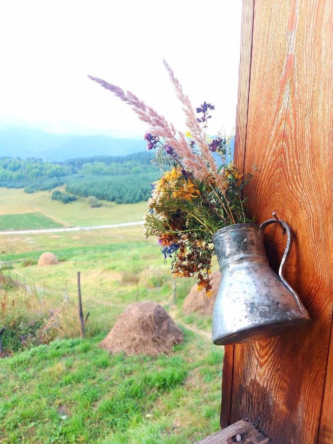 Guest House Gere Omalo Екстериор снимка